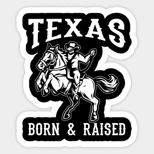 Texas Born & Raised Sticker